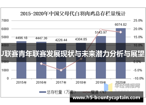 J联赛青年联赛发展现状与未来潜力分析与展望