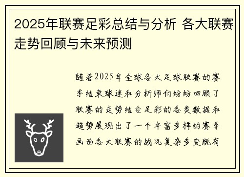 2025年联赛足彩总结与分析 各大联赛走势回顾与未来预测