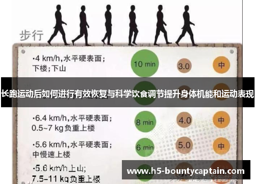 长跑运动后如何进行有效恢复与科学饮食调节提升身体机能和运动表现