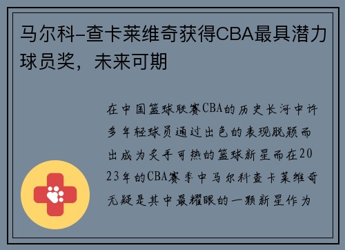 马尔科-查卡莱维奇获得CBA最具潜力球员奖，未来可期